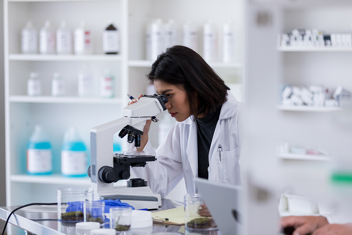 Scientist analyzes sample with microscope