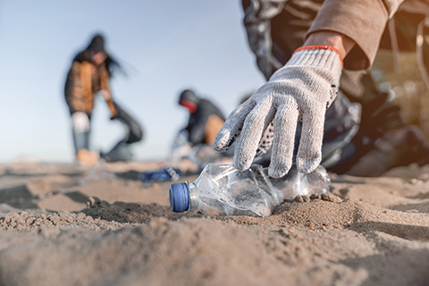 Um grupo de turistas pratica o turismo regenerativo recolhendo o lixo na praia que está a visitar. 