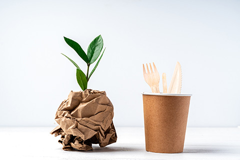 Un vaso hecho de madera con cucharas y tenedores hechos de madera y una plantita envuelta en un pedazo de papel sostenible. 