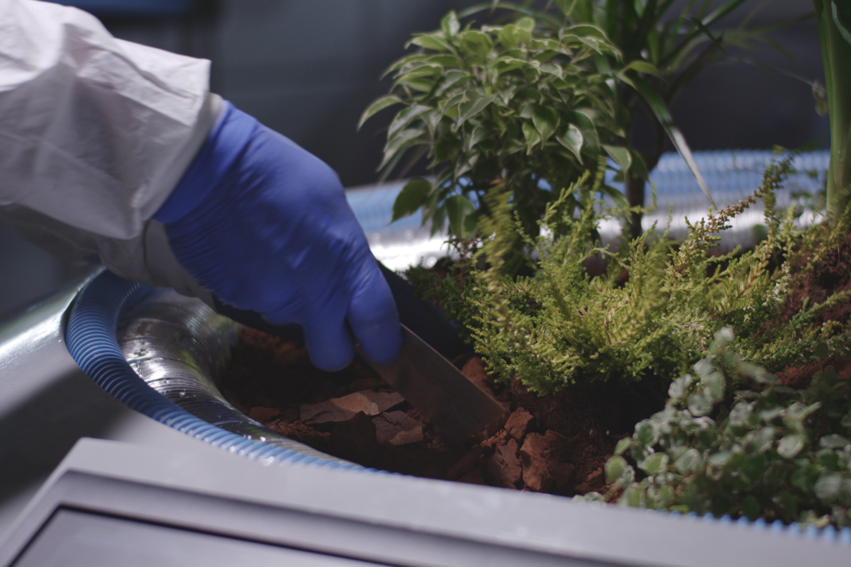 Primer plano de un científico plantando plantones en una base de Marte.