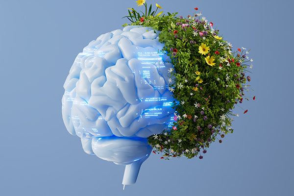 IA-y-medio-ambiente-portada